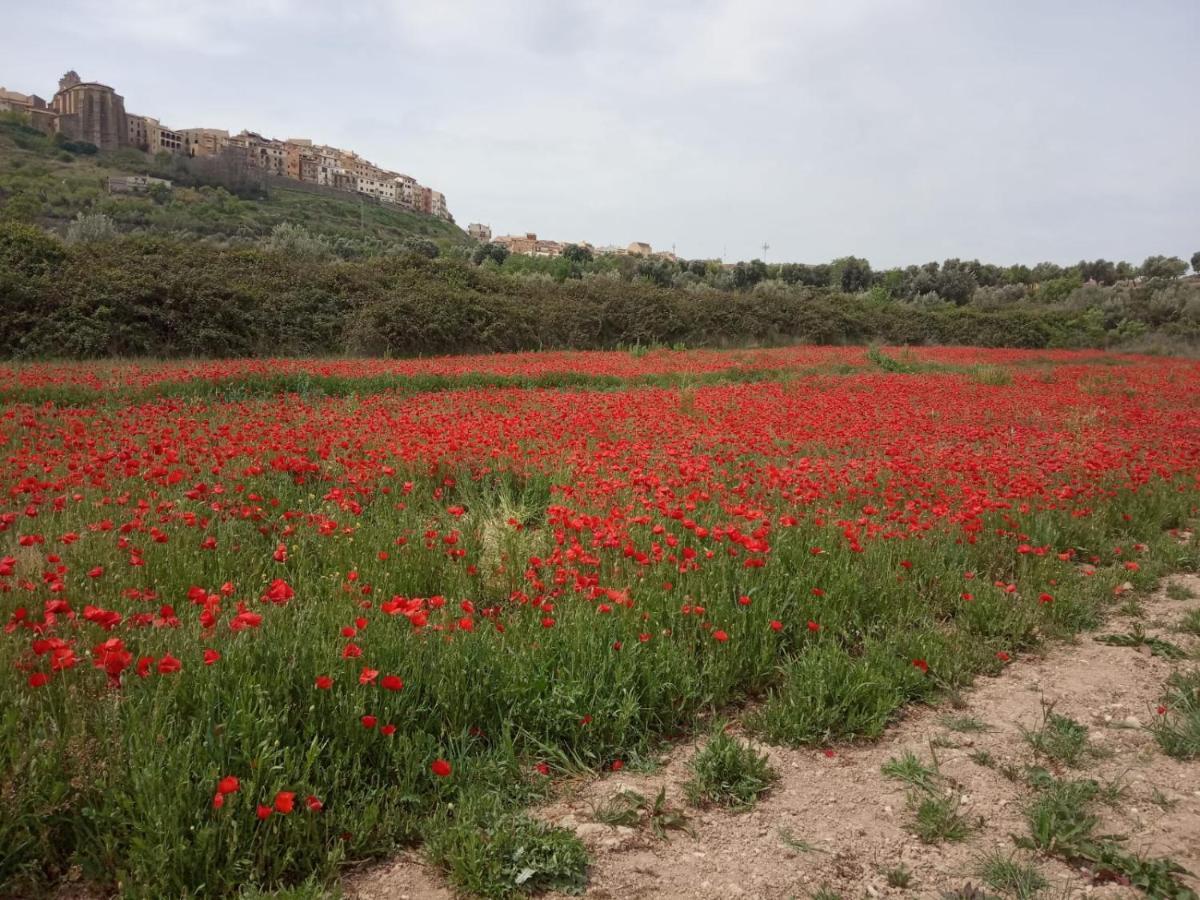דירות הורטה דה סנט חואן Els Ports D'Horta מראה חיצוני תמונה