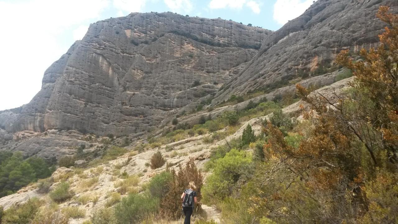 דירות הורטה דה סנט חואן Els Ports D'Horta מראה חיצוני תמונה